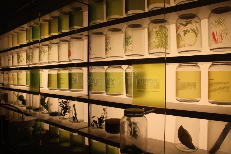 Tropical food ingredients displayed at Singapore National Museum
