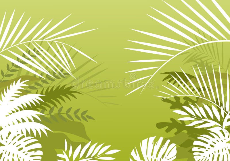 Tropical forest background