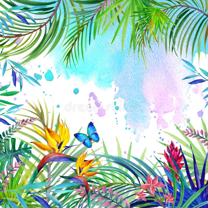 Tropical forest landscape, leaves, flowers and butterfly.