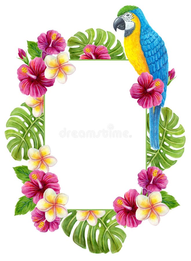 Tropical frame with parrot and flowers. Hand drawn watercolor painting with pink Hibiscus rose and palm leave isolated on white