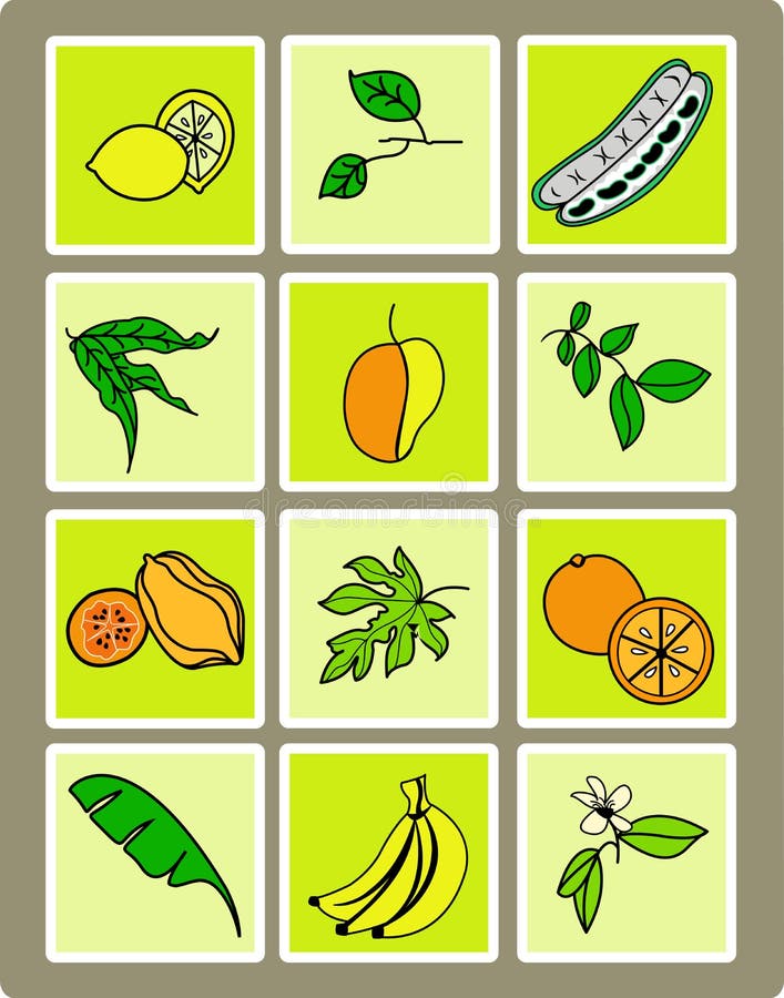 Tropical Fruit Set stock illustration