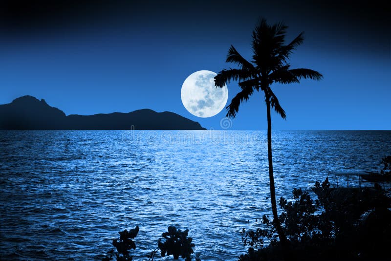 Una luna piena che sorge nel Tropicali Fiji notte.