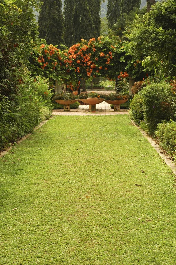 Tropical Garden