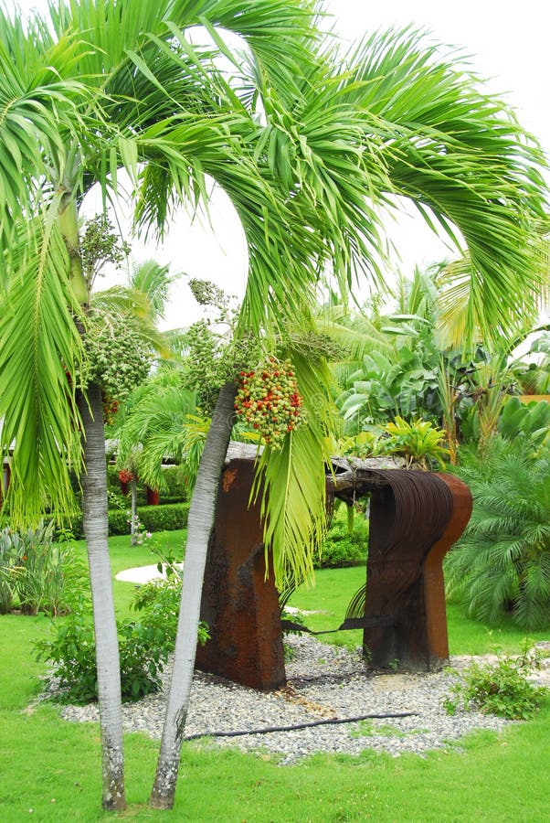 Tropical garden