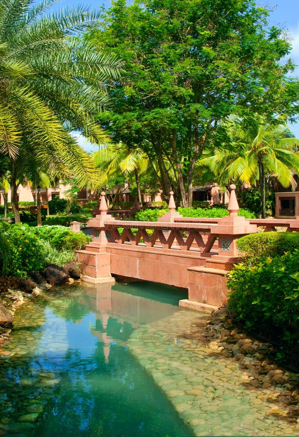 Tropical garden with foot- bridge. Goa