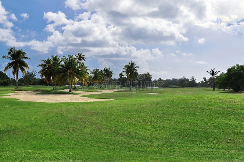 Tropical golf course stock photo. Image of relaxation 60603050