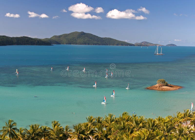 Tropical Hamilton Island scene