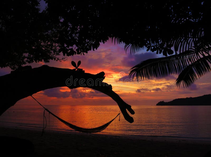 Hammock Sunset stock photo. Image of palm, landscape, peace 46984