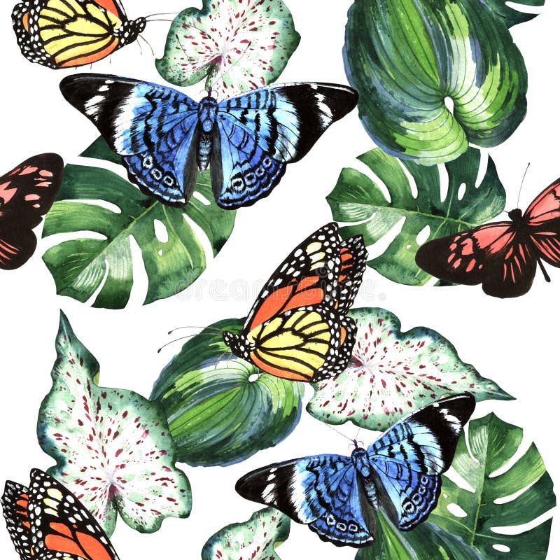 Tropical Hawaii leaves palm tree and butterflies pattern in a watercolor style isolated.