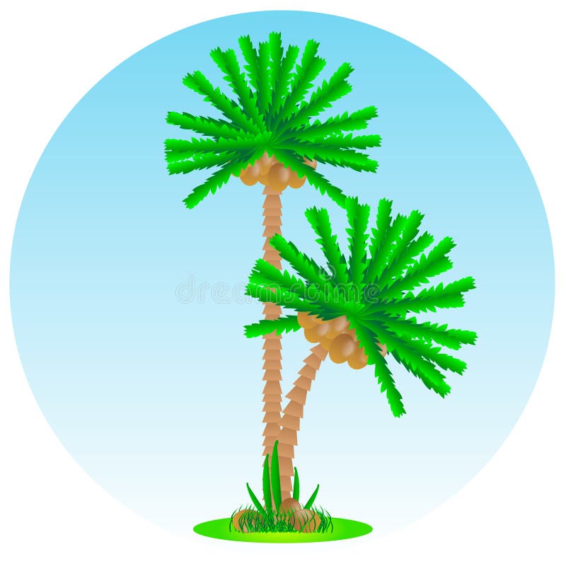 Tropical island vector illustration