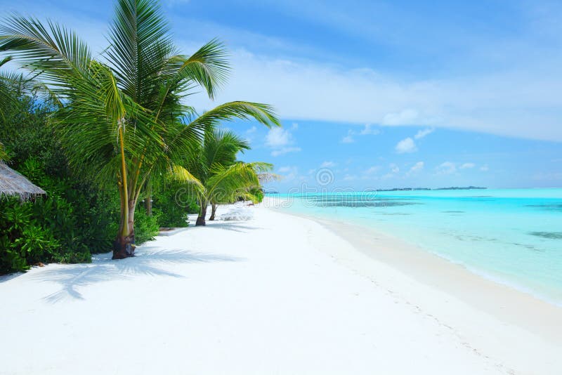 Tropical island royalty free stock photography