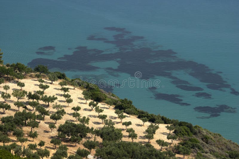 Tropical Island Coast