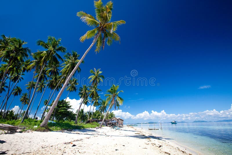 1,111,825 Tropical Island Stock Photos - Free & Royalty-Free Stock ...