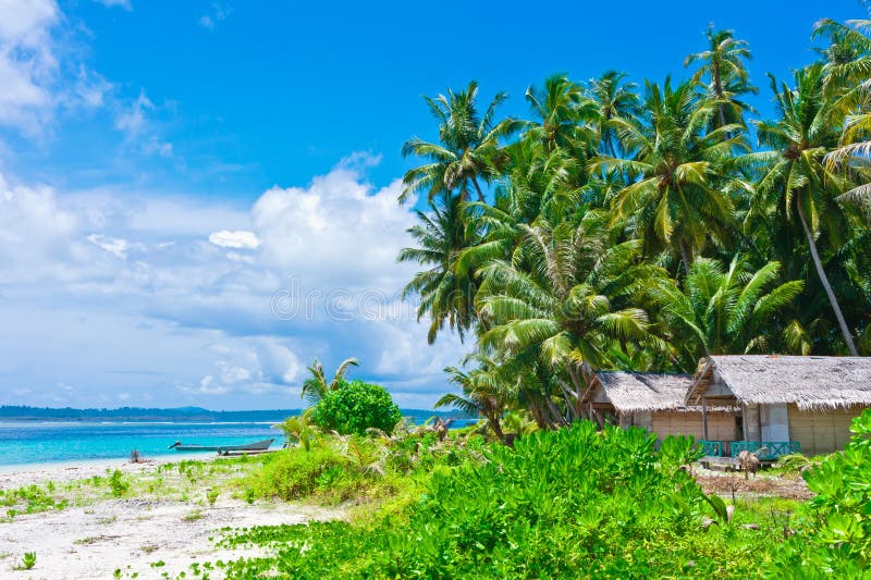 Tropical Island Landscape With Huts Stock Image Image Of Scenic