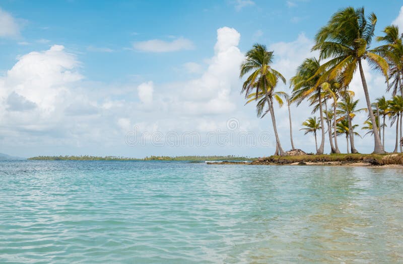 Tropical island landscape - ocean palm trees and blue sky