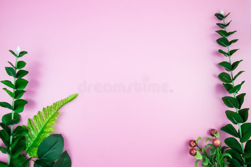 Tropical Jungle branches leaves Monstera on pink pastel color ba. Branch, decorative.