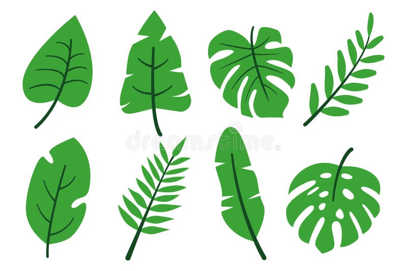 Tropical Jungle Leaves Abstract Green Flat Set Stock Vector - Illustration of isolated, decoration: 227004972 Tropical Jungle Leaves Abstract Green Flat Set Stock Vector - Illustration of isolated, decoration: 227004972