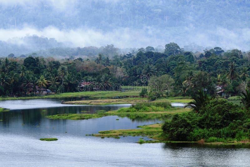 Tropical landscape