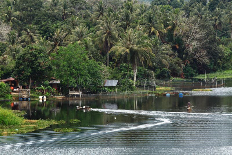 Tropical landscape