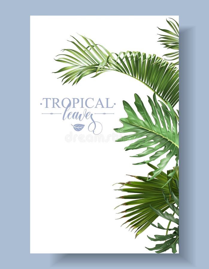 Download Tropical leaf border stock vector. Illustration of print ...