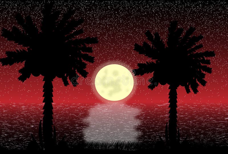 Tropical night vector illustration