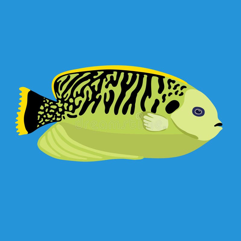 Download Tropical Ocean Fish, Vector Illustration Stock Vector ...