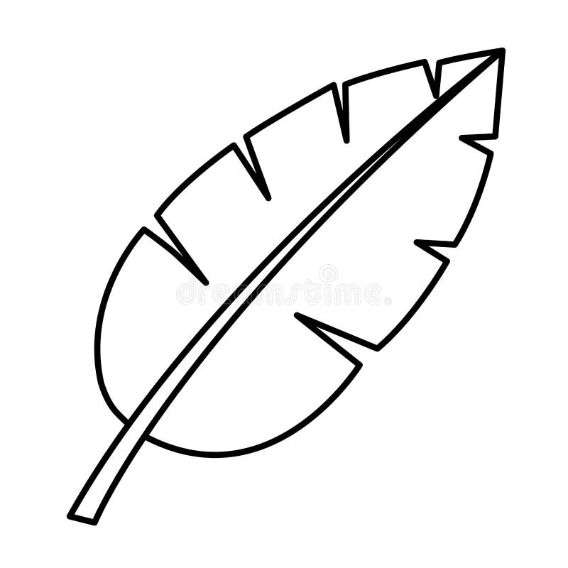 Tropical palm leaf cartoon stock vector. Illustration of growth - 143770165