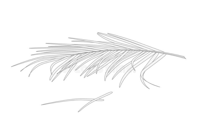 Leaf Outline Palm Stock Illustrations 10 613 Leaf Outline Palm Stock Illustrations Vectors Clipart Dreamstime