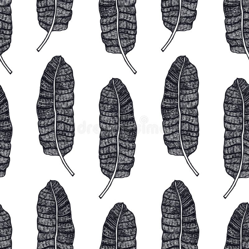 Tropical palm leaves Banana tree Vector seamless pattern Black background stock illustration Tropical palm leaves Banana tree Vector seamless pattern Black background stock illustration