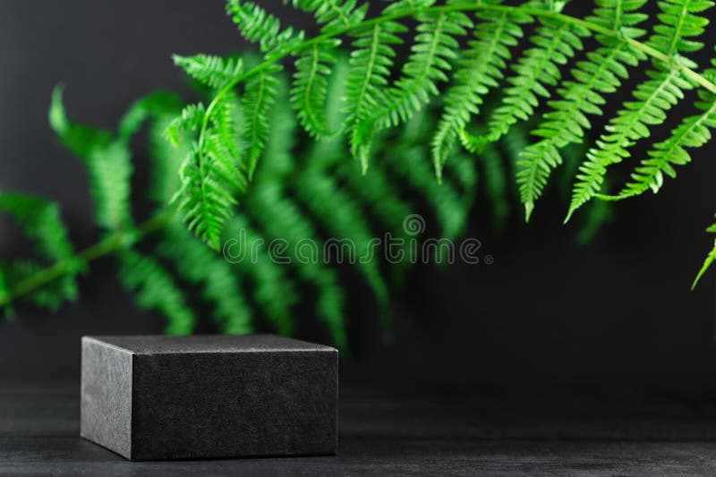 Tropical palm leaves on dark backdrop. Black stand for cosmetics and goods on natural background. Advertising. Mockup style, copy