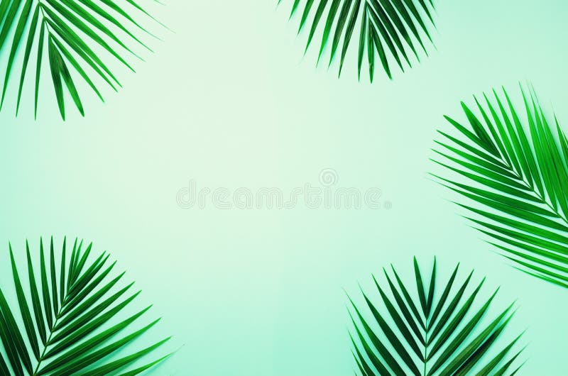SZZWY 10x7ft Green Pink Tropical Leaves Layout Vinyl Photography Background Spring Scenic Botanic Backdrop Wedding Photo Shoot Summer Party Wallpaper Exotic Studio Props 
