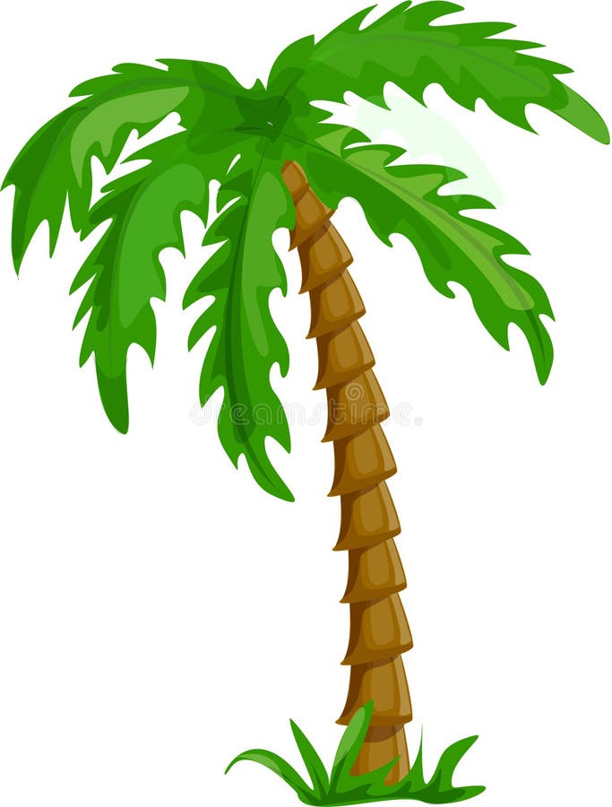 Tropical Palm Trees Isolated Vector Stock Vector - Illustration of ...