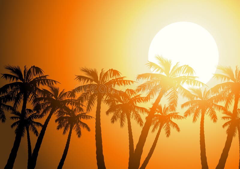 Tropical palm trees silhouette at sunrise