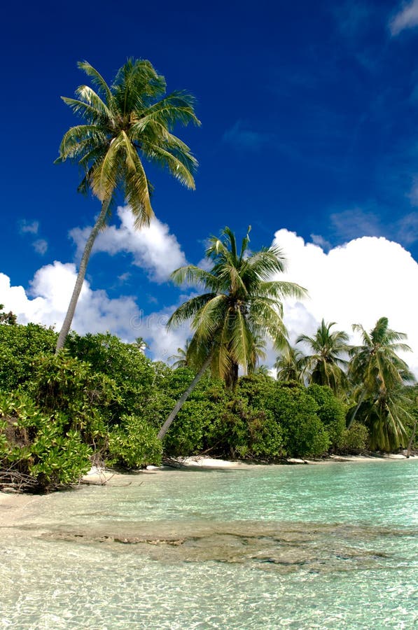 Tropical paradise stock photo. Image of huvadhu, maldives - 11657428