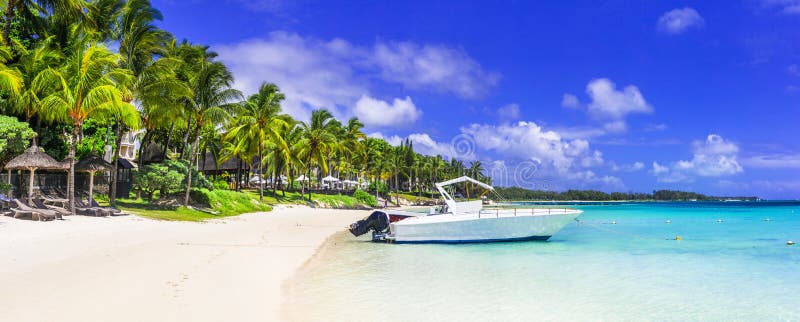 Tropical paradise beach with white sand and palm trees.  Belle Mare beach Mauritius island