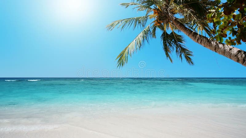 Waves on a tropical beach stock footage. Video of paradise - 35270085