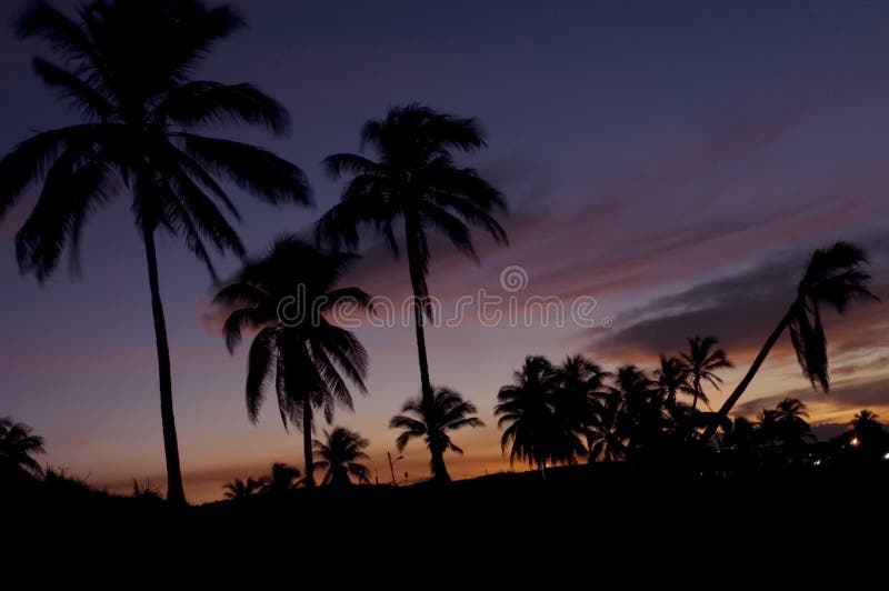 Tropical paradise at sunset