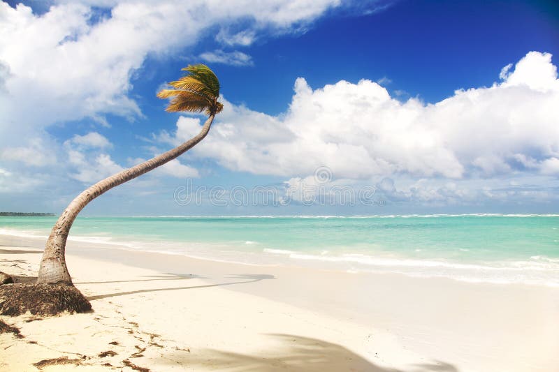 Tropical Paradise White Sands Beach Stock Photo Image of travel