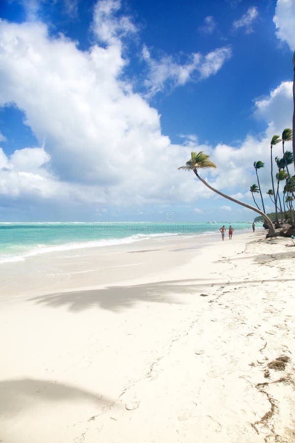 Tropical Paradise White Sands Beach Stock Photo Image of vacation