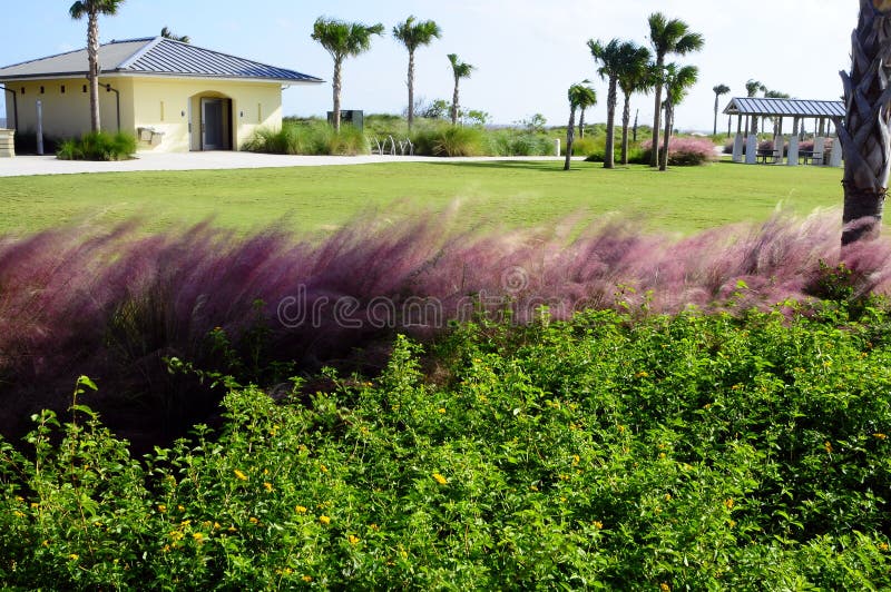 Tropical park and grounds stock photography Tropical park and grounds stock photography
