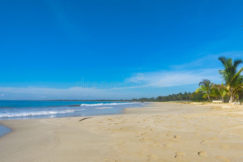 Tropical Pasikuda beach with golden sand and palm trees on the island of Sri Lanka. Turquoise sea with a low tide