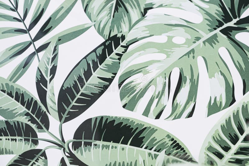 Tropical Plant Background with Big Green Leaves Stock Illustration -  Illustration of growth, summer: 180321099