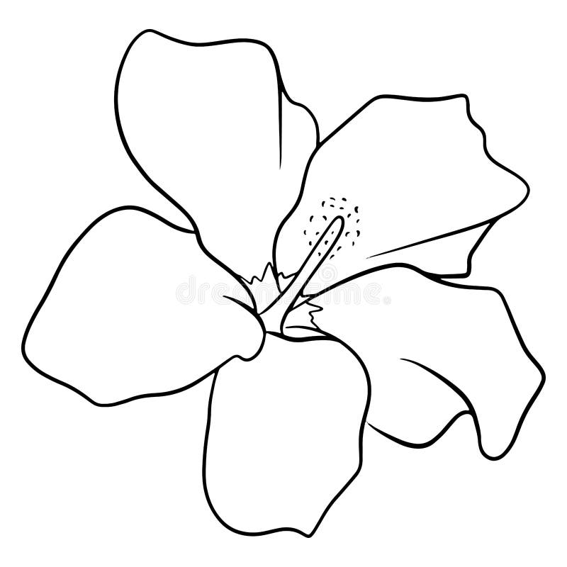 Tropical plant bright flower in line style for coloring book