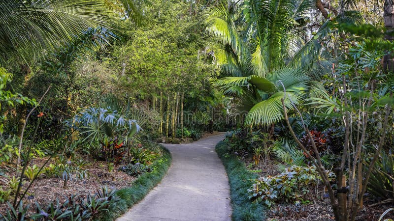 Tropical plant garden in side Harry P Leu gardens in Orlando, Florida