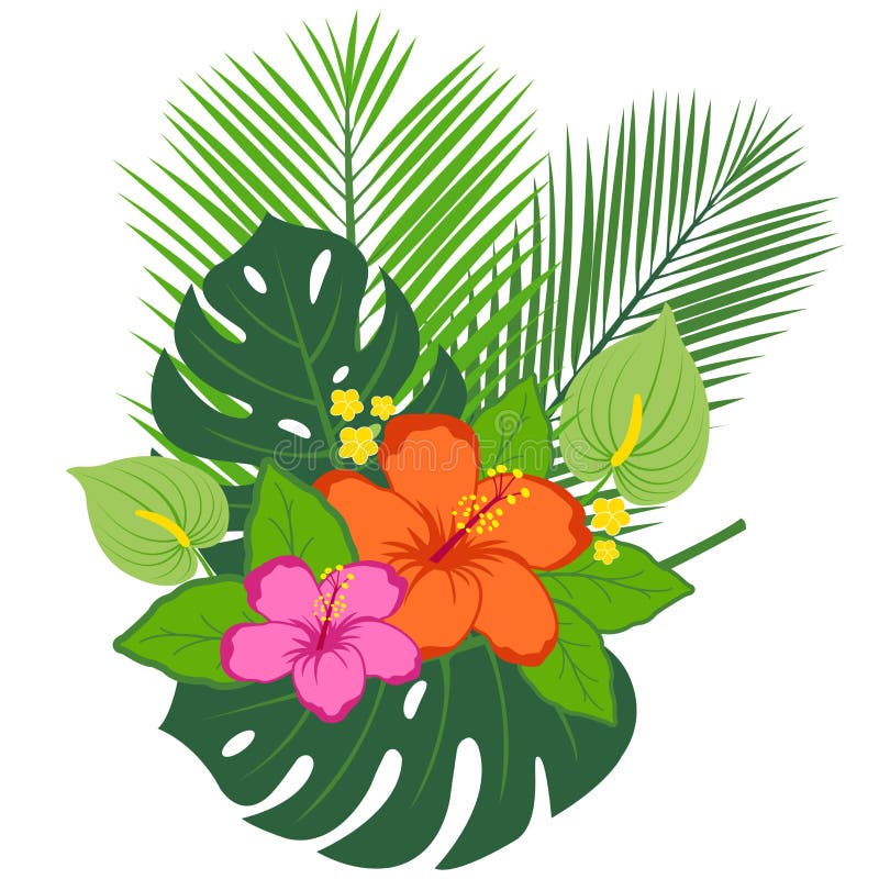 Tropical Plants and Flowers Arrangement Stock Vector - Illustration of  hawaiian, vector: 60042096
