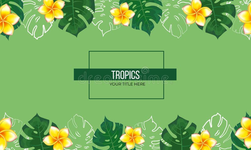Tropical plants frame vector illustration Tropical plants frame vector illustration