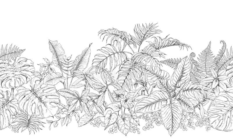 Tropical Plants Line Horizontal Pattern vector illustration