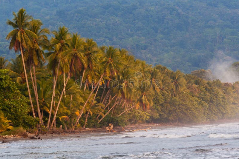 Tropical pristine beach in Costa Rica