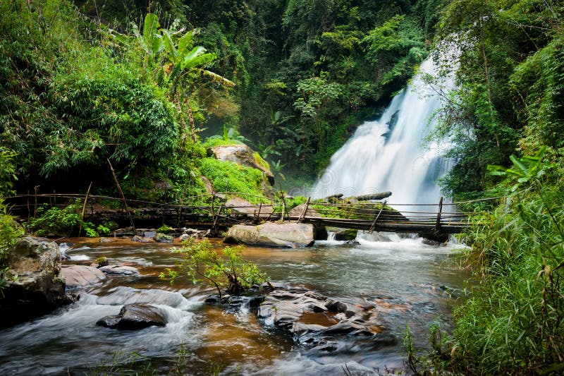 Tropical rain forest landscape with Pha Dok Xu waterfall. Thailand