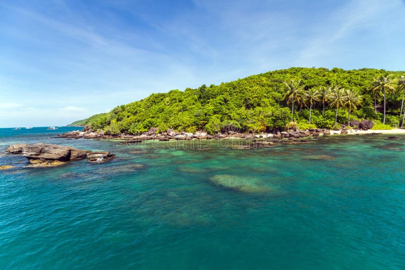 Tropical Rainforest Island Sea Stock Image - Image of island, coastline ...